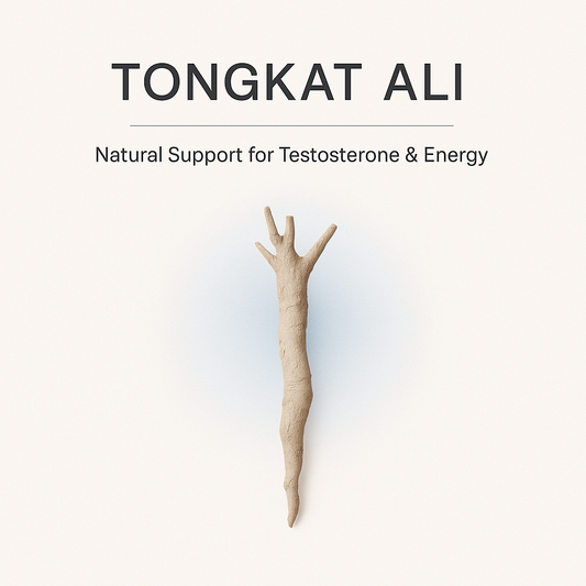 Revive with Drive E-Book